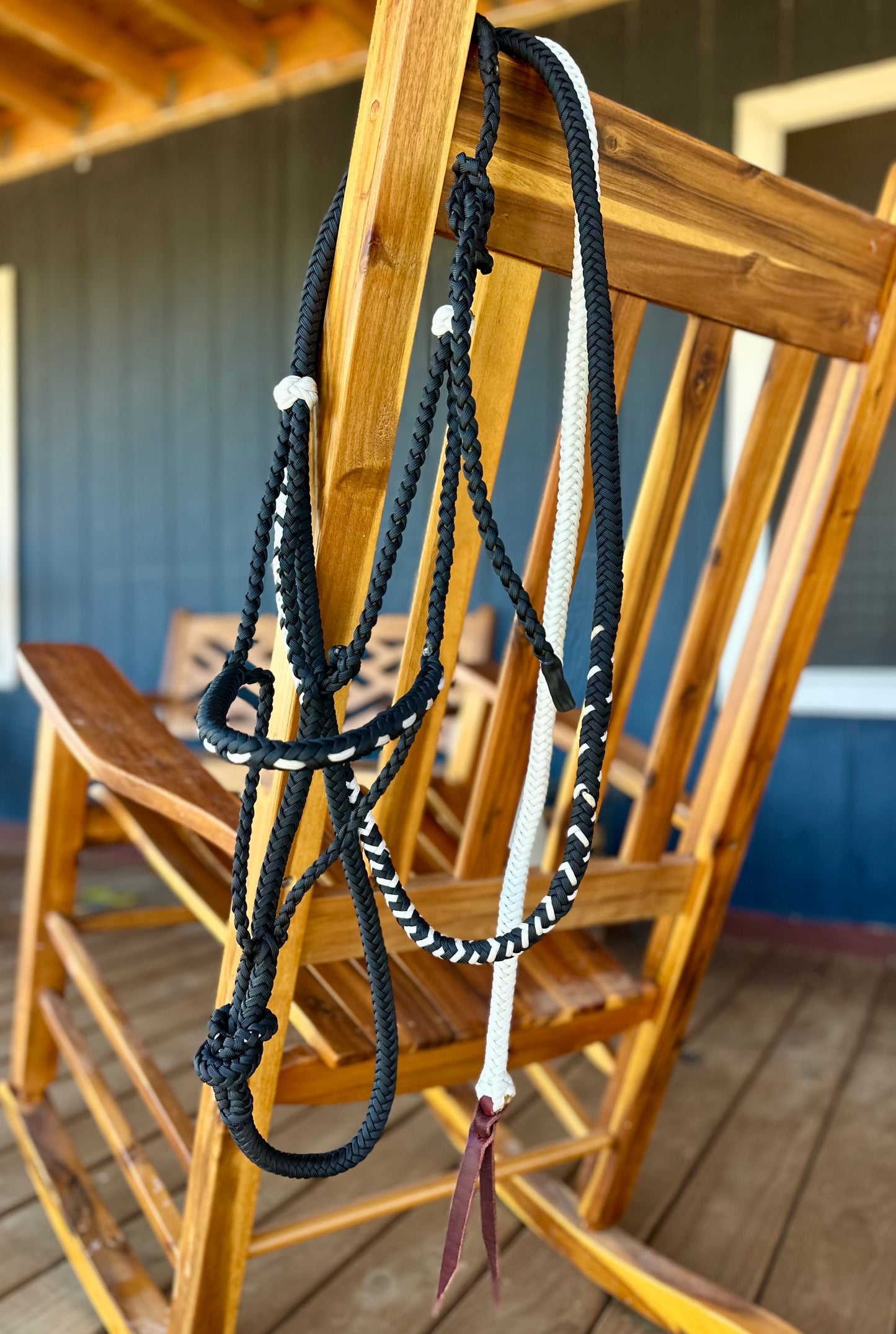Paracord halter