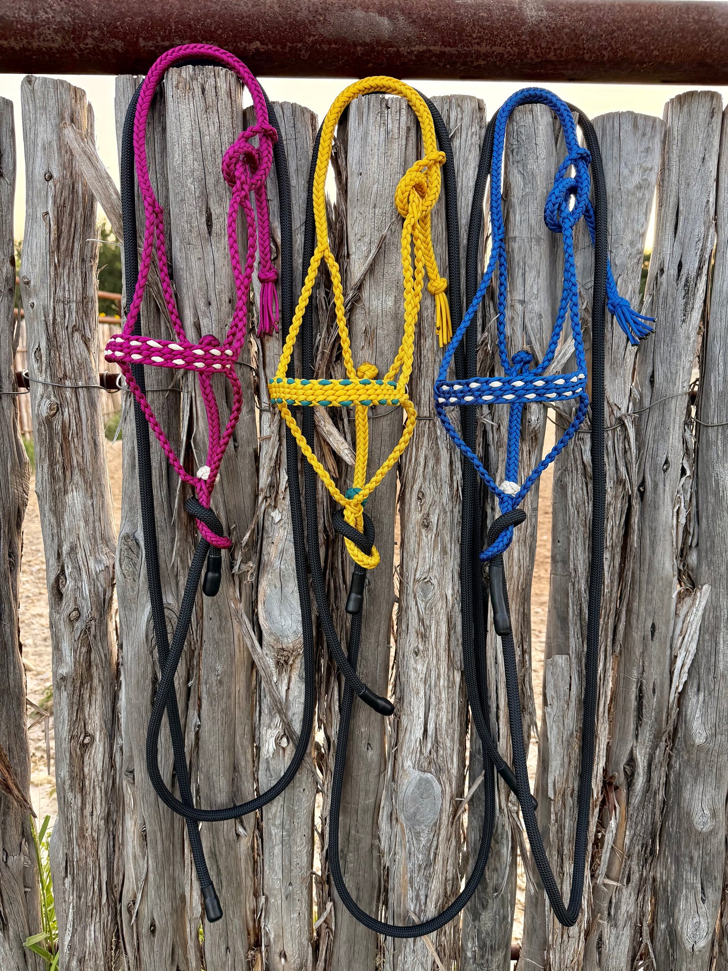 Pony halters
