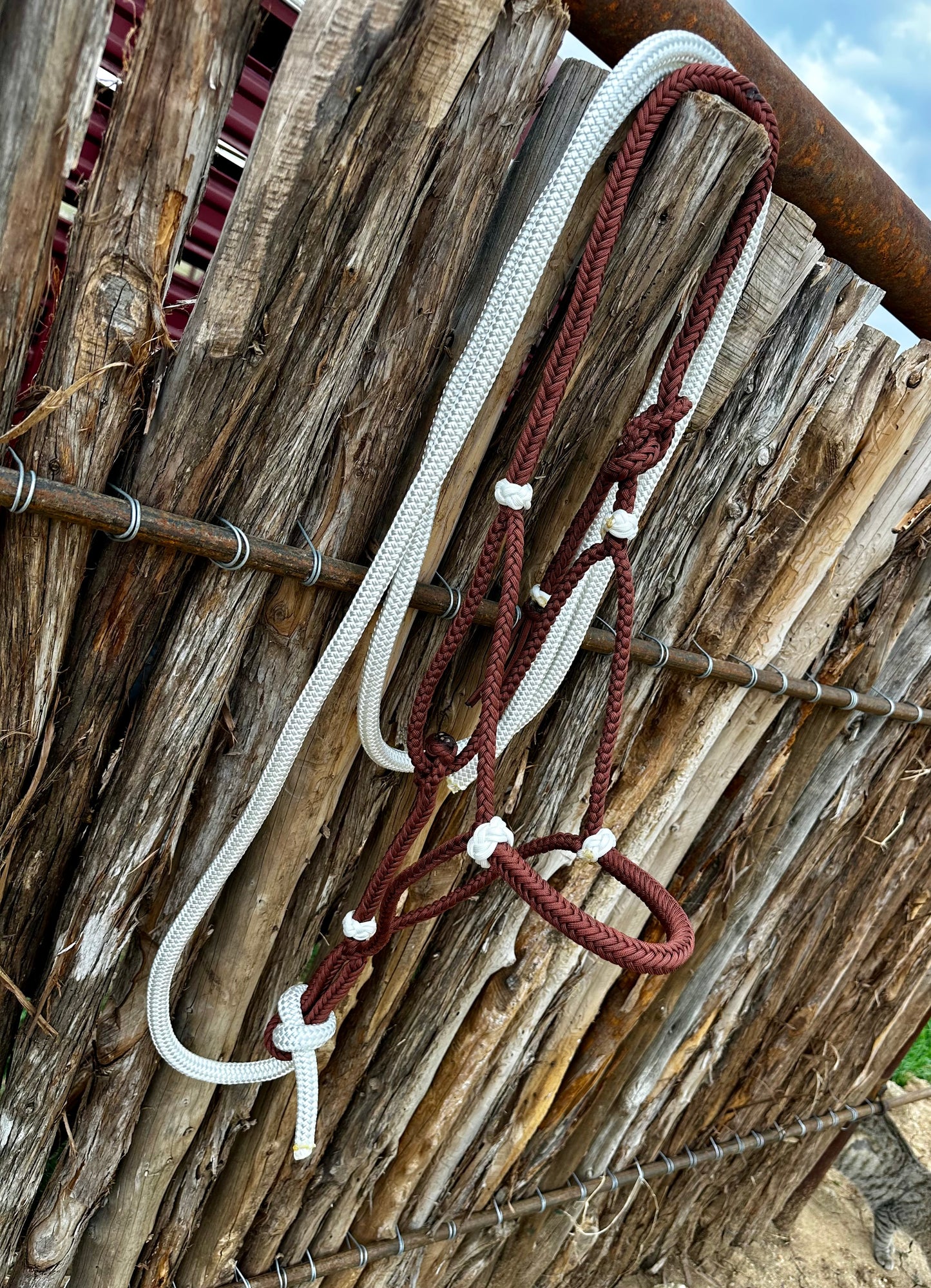 Sorrel/white Paracord halter