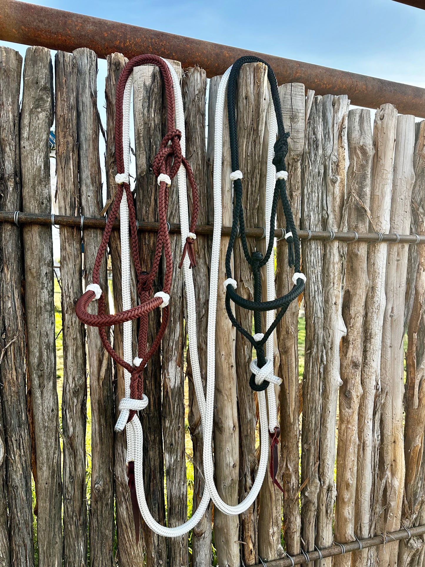 Paracord halters w/ leads + leather popper