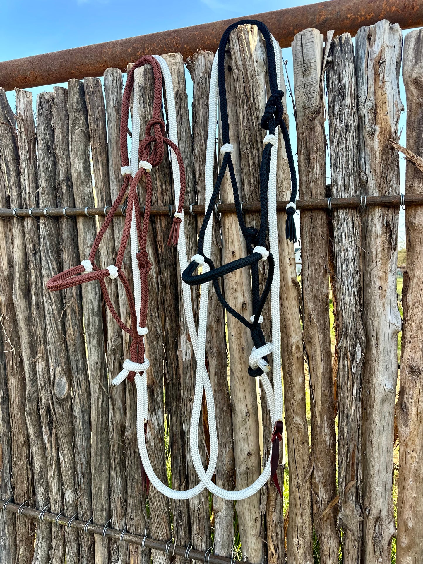 Paracord halters w/ leads + leather popper